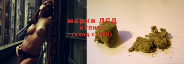 эйфоретик Баксан