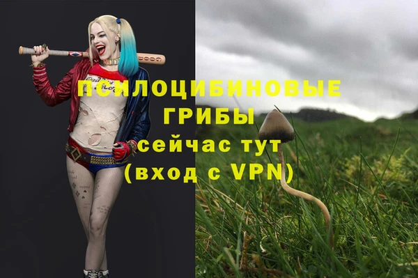 эйфоретик Баксан