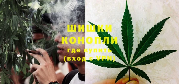 эйфоретик Баксан